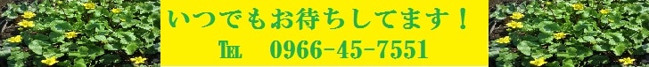 tel