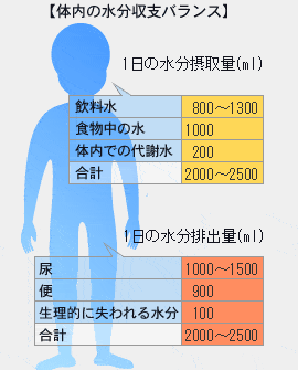 水分