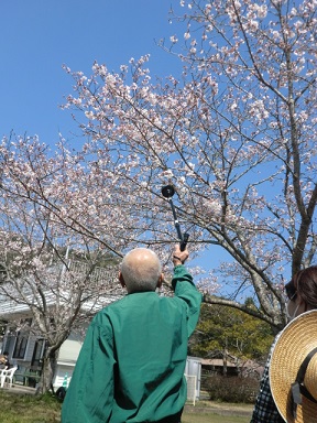 画像の説明 画像の説明