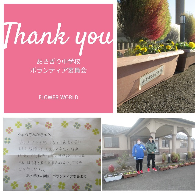 幸せの花 幸せの花